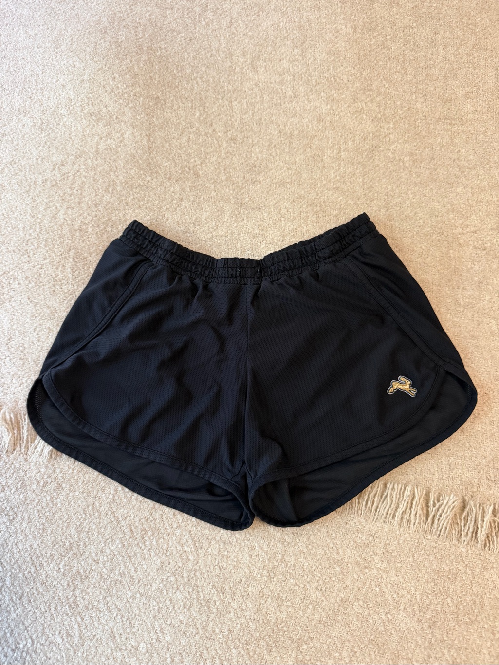 Tracksmith 3” Shorts